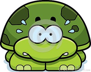 nervous-little-turtle-cartoon-illustration-looking-47437972